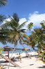 Tropical Island Holiday 2