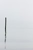 Piling Reflected