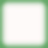 Vignette on Blank Paper Green