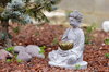 Zen Garden