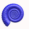 Ammonite
