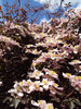 Climbers meet
