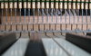 Piano Keys