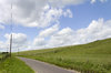 Rural road in summer