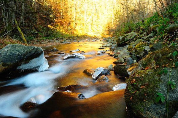 River reflecting golden sunlig: A mountain river reflecting the golden sunlight of the morning.