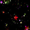 Lots of Stars 4
