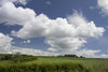English countryside