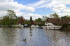 River scene