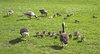 Meet the neighbours