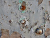peeling paint & rust3
