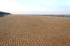 Beach at dawn