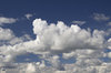 Summer clouds