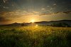 Sunset with rays & green field