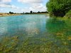 Blue pond