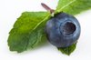 Blueberry & Mint