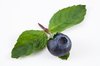 Blueberry & Mint