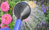 Flower shower