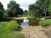 New Forest, Dorset
