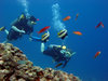 Diving in Egypt near Dahab in 