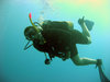 Diving in Egypt near Dahab in 