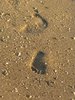 footprints in the sand