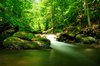 Mountain River, Downstream