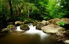 Mountain River, Downstream