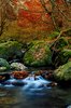 River in Autumn