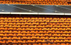 solar energy2