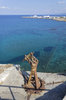 Harbour fortress remains