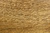Mahogany Texture