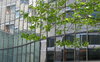 Glass Front