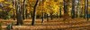autumn park 2