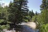 Trout stream