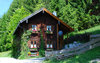 wooden house in the mountains