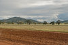 agriculture