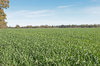 agriculture