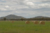 agriculture