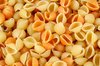 Conchiglie Pasta