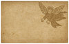 Angel Card