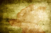 Grungy Paint