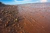 Hopewell Beach
