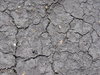 Dry ground