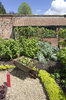 Vegetable garden