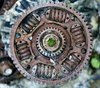 Rusty cog 1