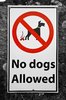No Dogs Allowed Sign