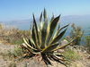 sea of Galilee