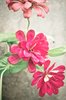 Pink Flowers 1