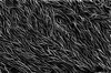 Abstract Sketch Texture