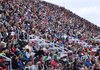 Crowd